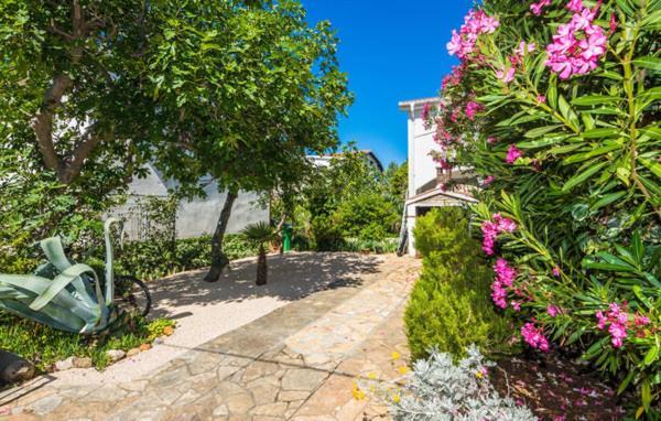 Apartment "Marija" - Otok Vir Exteriér fotografie